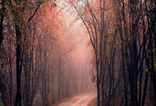 安卓开发助手下载,安卓开发工具app