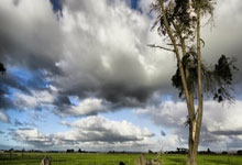 应用服务端口怎么开启权限,应用服务器设置在哪