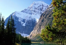 安卓开发助手下载,安卓开发工具app