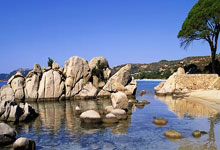 应用服务端口怎么开启权限,应用服务器设置在哪